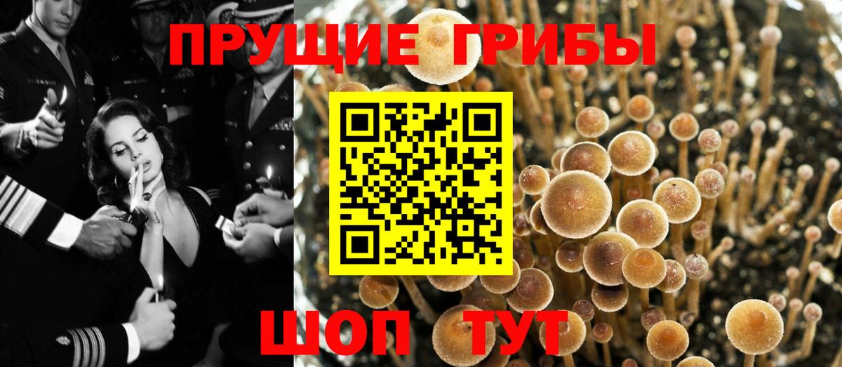 Джанкой  Псилоцибиновые грибы ЛСД  Вход с VPN 